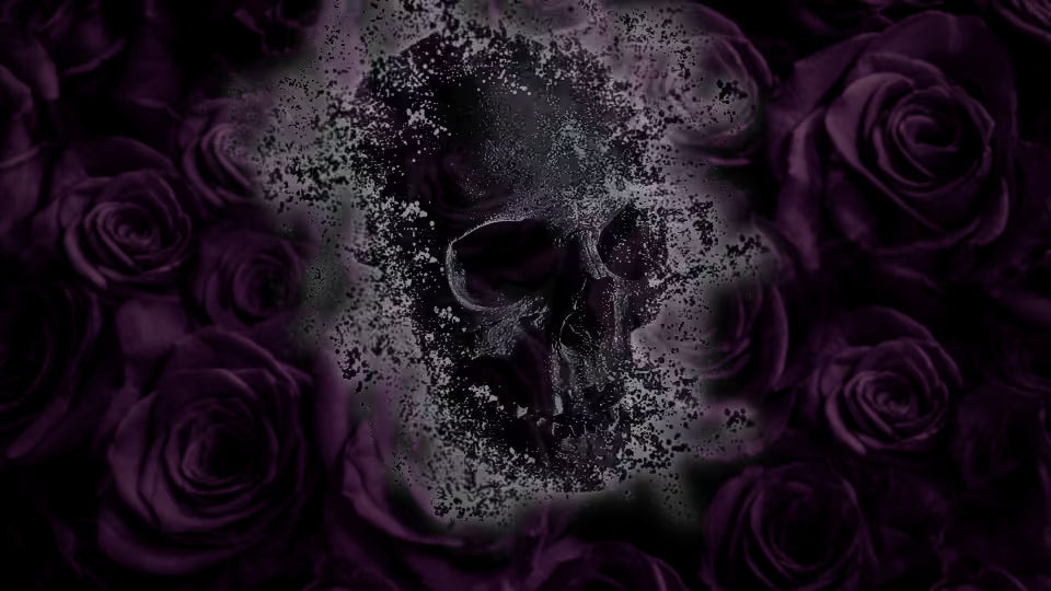 Dark gothic artwork featuring a central skull surrounded by deep purple roses, with a smoky textured glow between the skull and flowers.